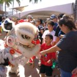 Chinese New Year Festival • Sunday
